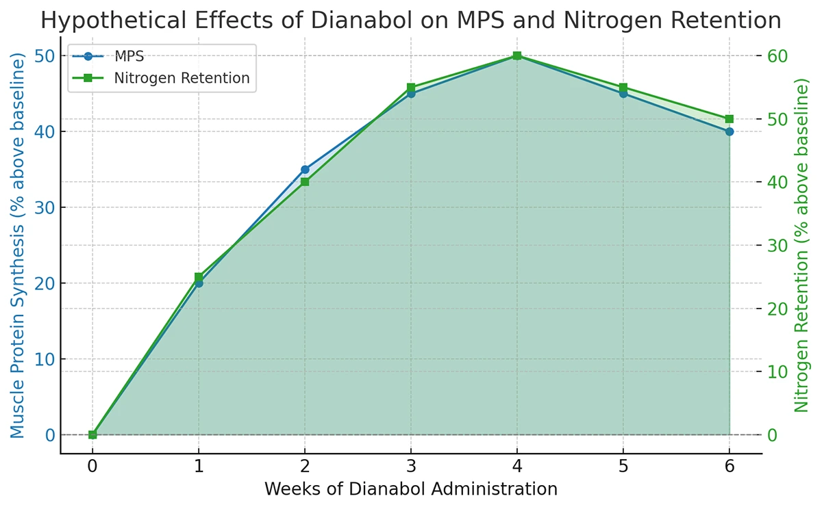 How Dianabol works: boosts protein synthesis, increases nitrogen retention, enhances glycogenolysis